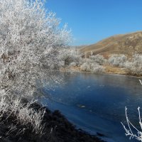 Предзимье. :: nadyasilyuk Вознюк