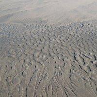 Текстура песка :: Мария Делла