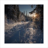 * :: Александр Иванов