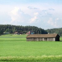 Вблизи населенного пункта Кевола :: Александр Ильчевский Вблизи населенного пункта Кевола :: Александр Ильчевский