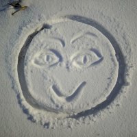 Всем привет! Хорошего зимнего денечка! :: Татьяна Пальчикова Всем привет! Хорошего зимнего денечка! :: Татьяна Пальчикова