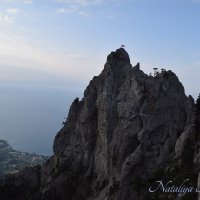 Природа Крыма :: Amazing Cosmea Природа Крыма :: Amazing Cosmea