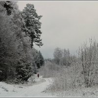 *** :: Aleksandr Gal