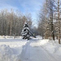 пейзаж :: Владимир пейзаж :: Владимир