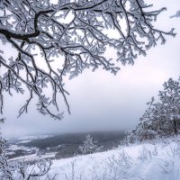 Зимние узоры :: Наталья Димова