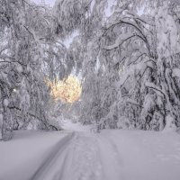 Дорога к свету :: Vladimbormotov 