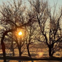 *** :: Яна Горбунова