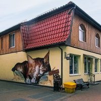 Домик со спящим котиком :: Сергей Карачин Домик со спящим котиком :: Сергей Карачин