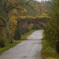 Дорога в Роминтенской пуще. :: Константин 