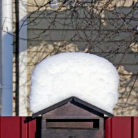 Снега навалило :: Александр 