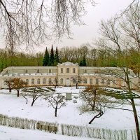 Оранжерейный сад :: VasiLina *