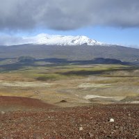 *** :: Марина Виноградова