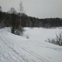 ЧБ графика зимы :: Андрей Лукьянов