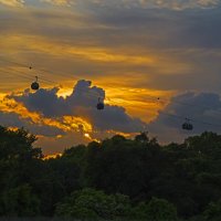 Канатная дорога :: Сергей Фомичев