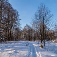 Морозное утро 3 :: Андрей Дворников