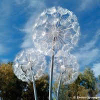 Светильники "Одуванчики" :: Елена Сухорученкова