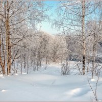 Морозным днём... :: Aquarius - Сергей