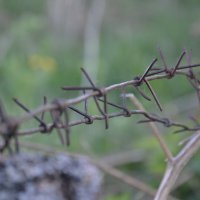 Эхо войны... :: Prizrak 777