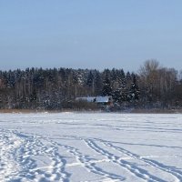 Дачные домики на берегу озера. :: Милешкин Владимир Алексеевич Дачные домики на берегу озера. :: Милешкин Владимир Алексеевич