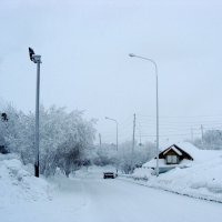 САЛЕХАРД.  ПУРГА :: Tata Wolf