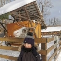 Городская ферма на ВДНХ в Москве :: Ольга Довженко Городская ферма на ВДНХ в Москве :: Ольга Довженко