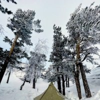 Зимний поход :: Георгиевич 