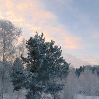 МОРОЗНЫЙ ДЕНЬ. :: nadyasilyuk Вознюк