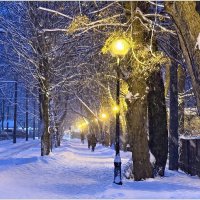 Зимние аллейки. :: Валерия Комова