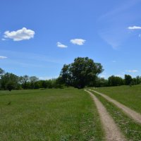 В степи. :: Виктор 