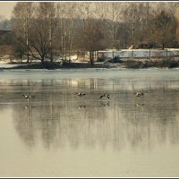 *** :: Aleksandr Gal