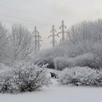 ... :: Анастасия Смирнова