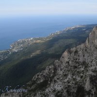 Природа Крыма :: Amazing Cosmea
