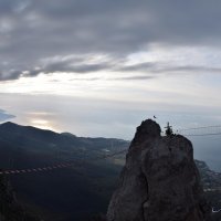 Природа Крыма :: Amazing Cosmea