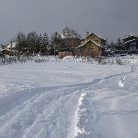 Поле в снегу :: Мария Яковлева