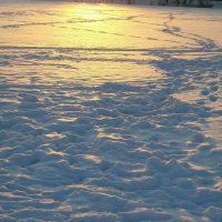 Уходящий январь.... :: Алёна Савина