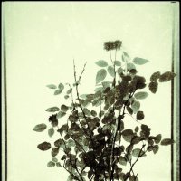 . . . :: Руслан 