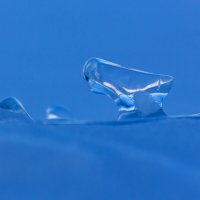 Птичка :: Евгений Тарасов 