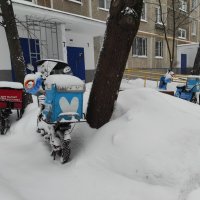 Нелётная погода :: Игорь Ч.