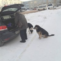 Зима, мороз :: Венера Чуйкова