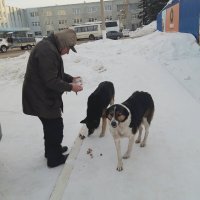 Зима, мороз :: Венера Чуйкова