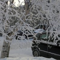 Зимний город :: Ольга Зимний город :: Ольга