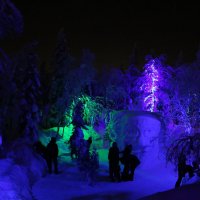 Ночь в Таинственном лесу :: Ольга Ночь в Таинственном лесу :: Ольга