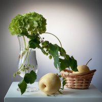 Натюрморт с зелёной гортензией. :: Лилия * Натюрморт с зелёной гортензией. :: Лилия *