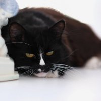 Думы ...) :: Андрей Зайцев Думы ...) :: Андрей Зайцев