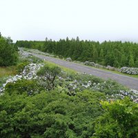 На острове Фаял, Азорские острова, Португалия. :: unix (Илья Утропов) На острове Фаял, Азорские острова, Португалия. :: unix (Илья Утропов)