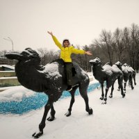 Верюлюды :: Георгиевич Верюлюды :: Георгиевич