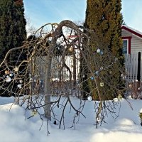 Январь :: Veera V Январь :: Veera V