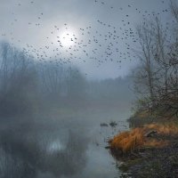 Раннее утро на озере. :: Тамара Бучарская Раннее утро на озере. :: Тамара Бучарская