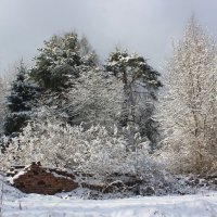 Зимним днем :: Сергей Кочнев Зимним днем :: Сергей Кочнев