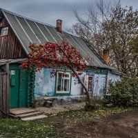 Рябина :: SanSan 